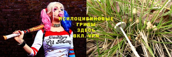 СК Арсеньев