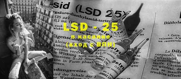 PSILOCYBIN Аркадак