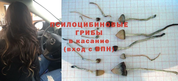бошки Алексин