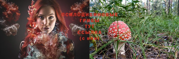 ГАЛЛЮЦИНОГЕННЫЕ ГРИБЫ Алзамай