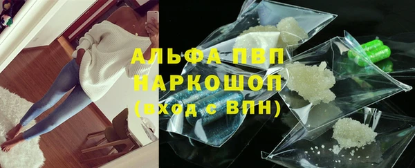 PSILOCYBIN Аркадак