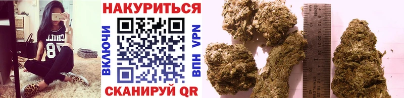 блэк спрут онион  Зуевка  Каннабис тримм  где найти  